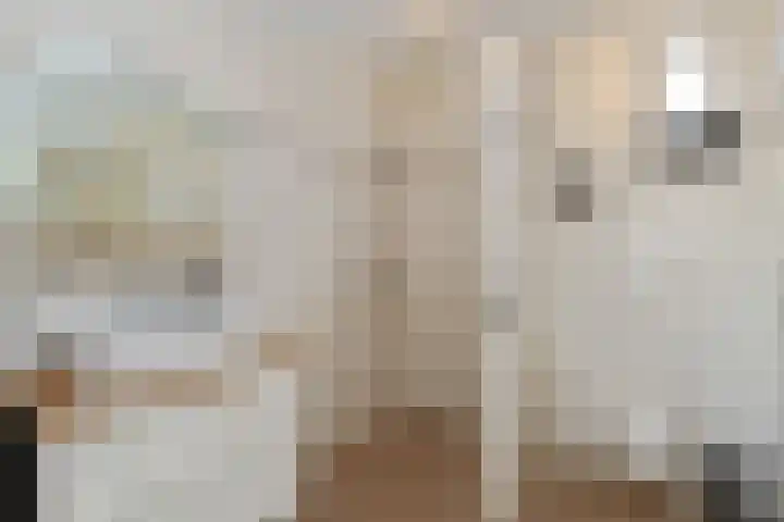 Rinkesfort 3 Maasbree thumbnail 15