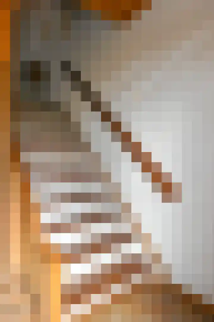 Rinkesfort 3 Maasbree thumbnail 17