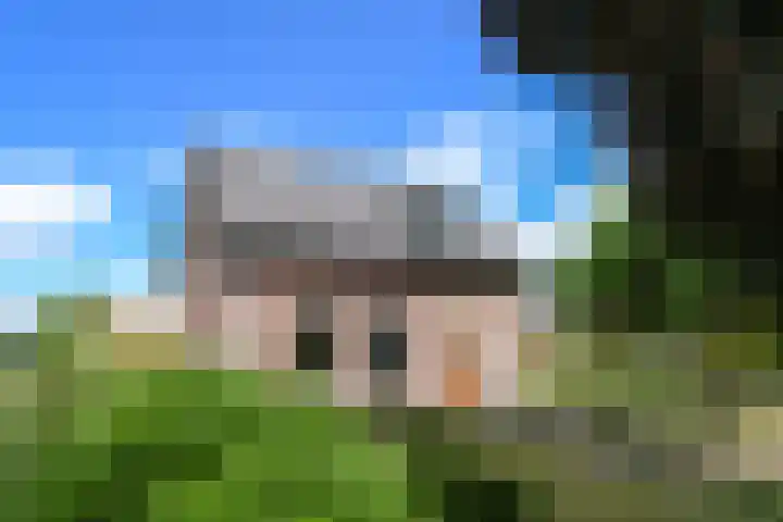 Rinkesfort 3 Maasbree foto 2