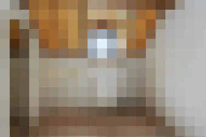Rinkesfort 3 Maasbree thumbnail 21