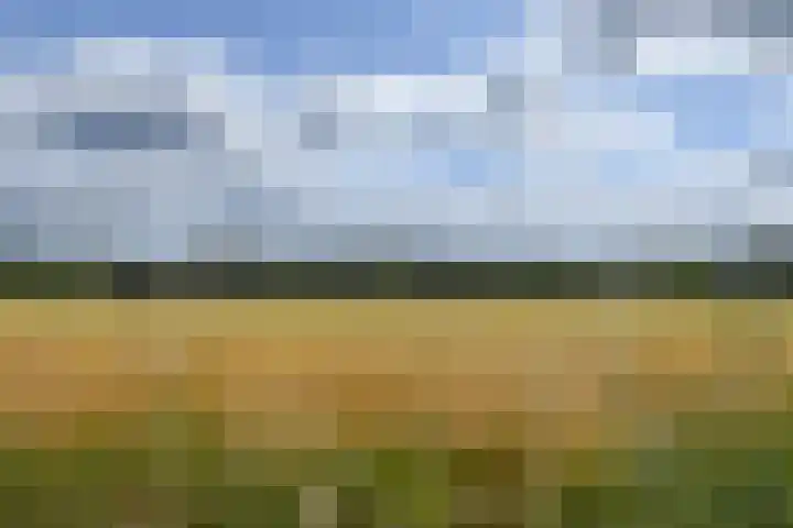 Rinkesfort 3 Maasbree thumbnail 24
