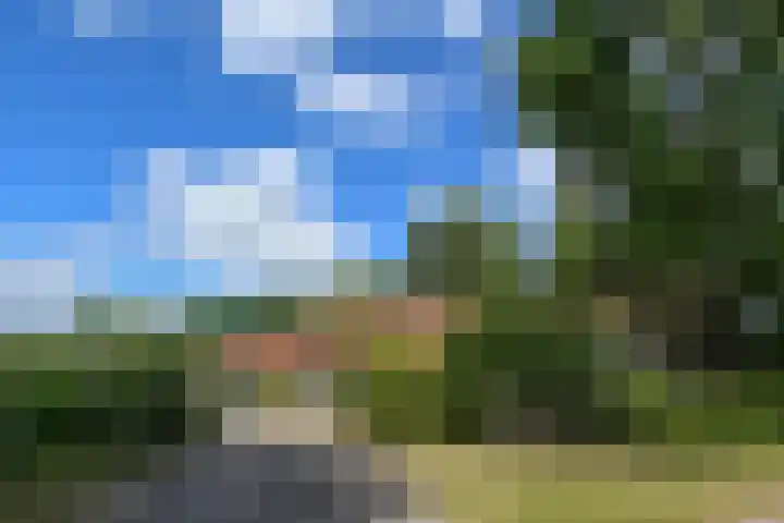 Rinkesfort 3 Maasbree thumbnail 25