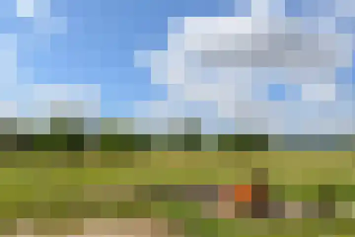 Rinkesfort 3 Maasbree thumbnail 30