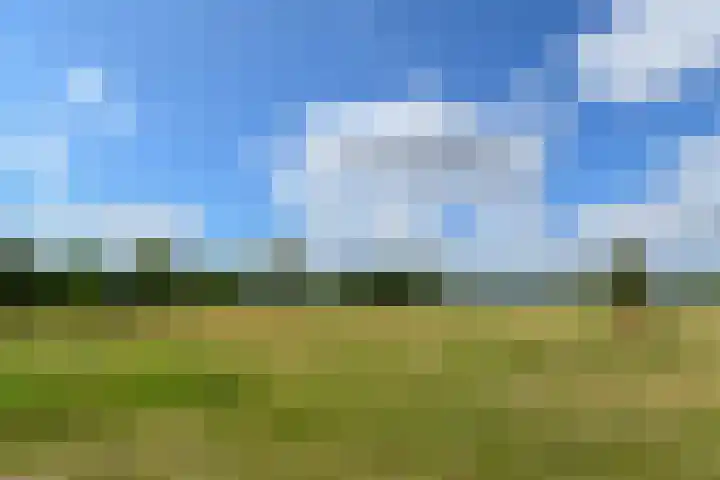 Rinkesfort 3 Maasbree thumbnail 31