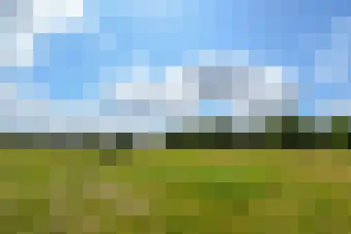Rinkesfort 3 Maasbree thumbnail 32