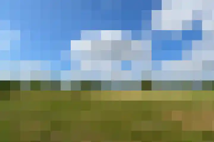 Rinkesfort 3 Maasbree thumbnail 33