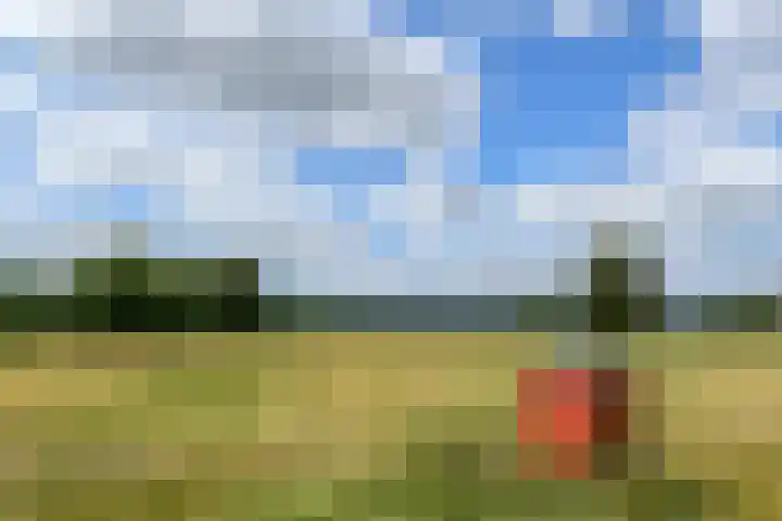 Rinkesfort 3 Maasbree thumbnail 34