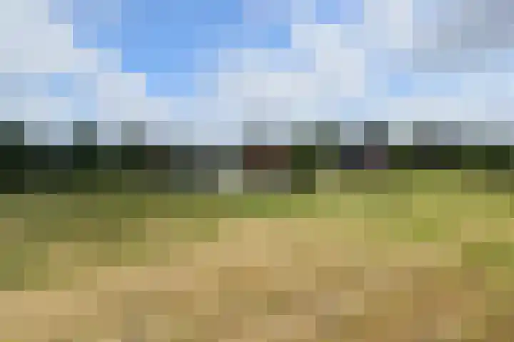 Rinkesfort 3 Maasbree thumbnail 36