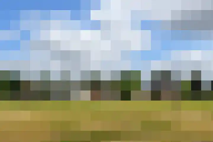 Rinkesfort 3 Maasbree thumbnail 37