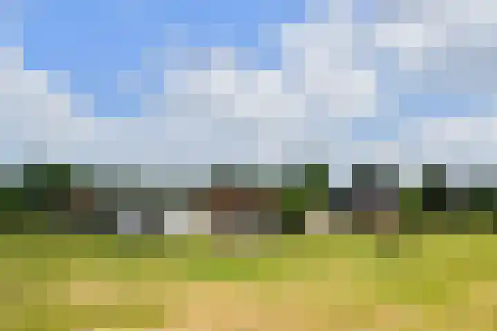 Rinkesfort 3 Maasbree thumbnail 38
