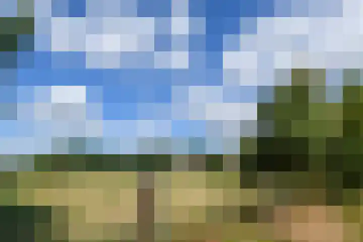 Rinkesfort 3 Maasbree thumbnail 39