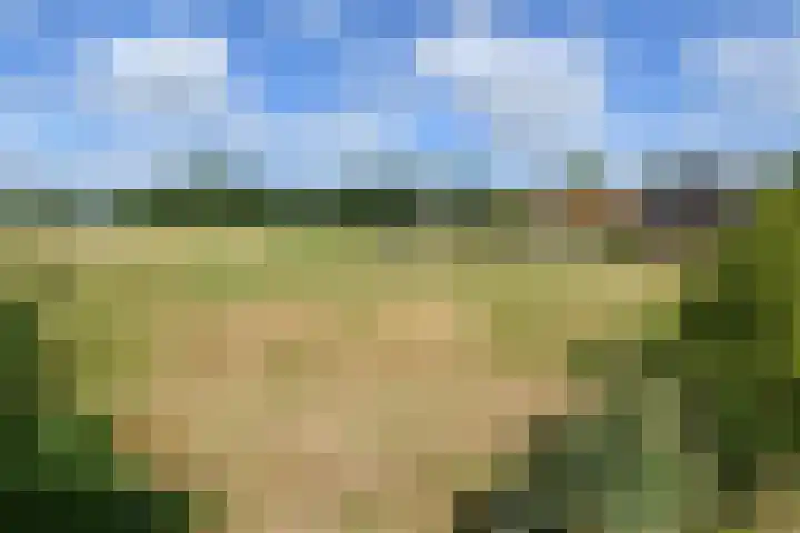 Rinkesfort 3 Maasbree thumbnail 40