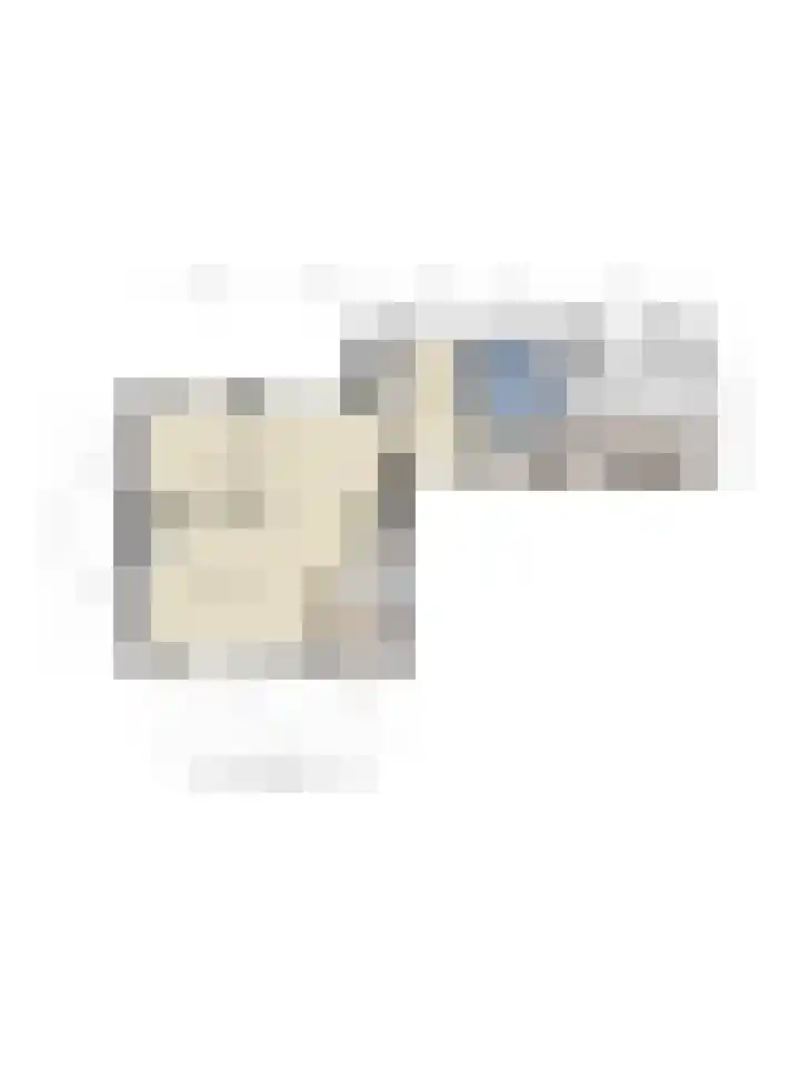 Rinkesfort 3 Maasbree thumbnail 41