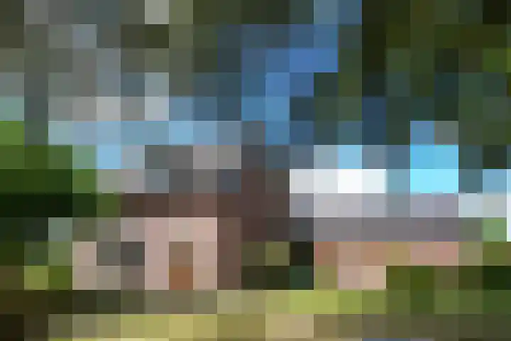 Rinkesfort 3 Maasbree thumbnail 46