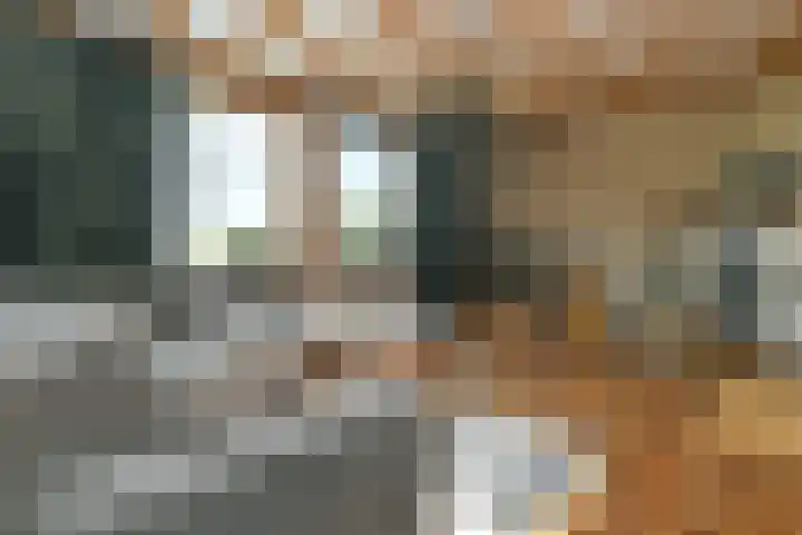 Rinkesfort 3 Maasbree thumbnail 6