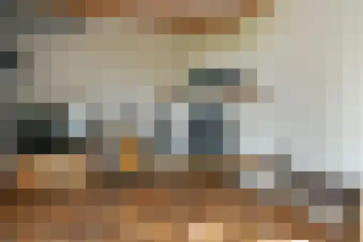 Rinkesfort 3 Maasbree thumbnail 7