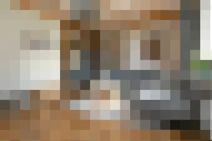 Rinkesfort 3 Maasbree thumbnail 8
