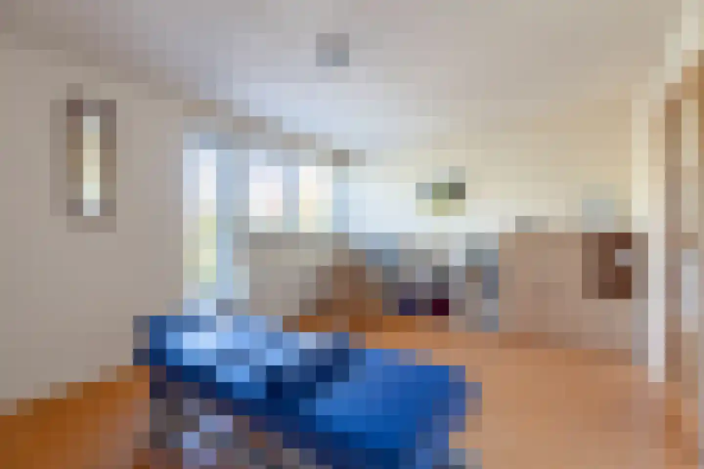 Rinnewaard 23 Alkmaar thumbnail 15