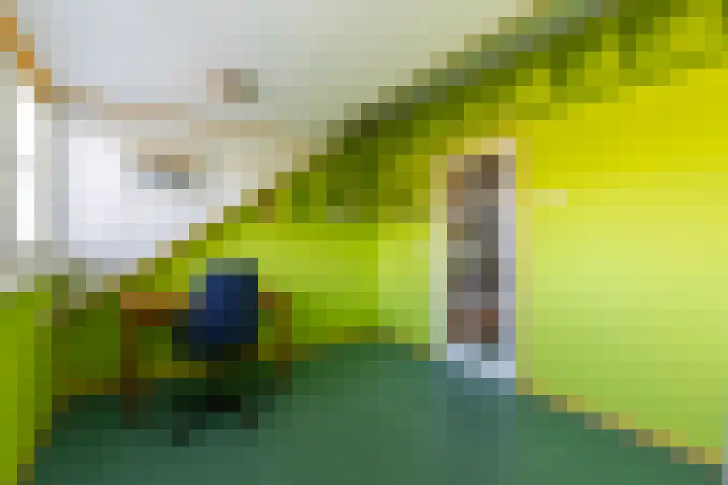 Rinnewaard 23 Alkmaar thumbnail 33