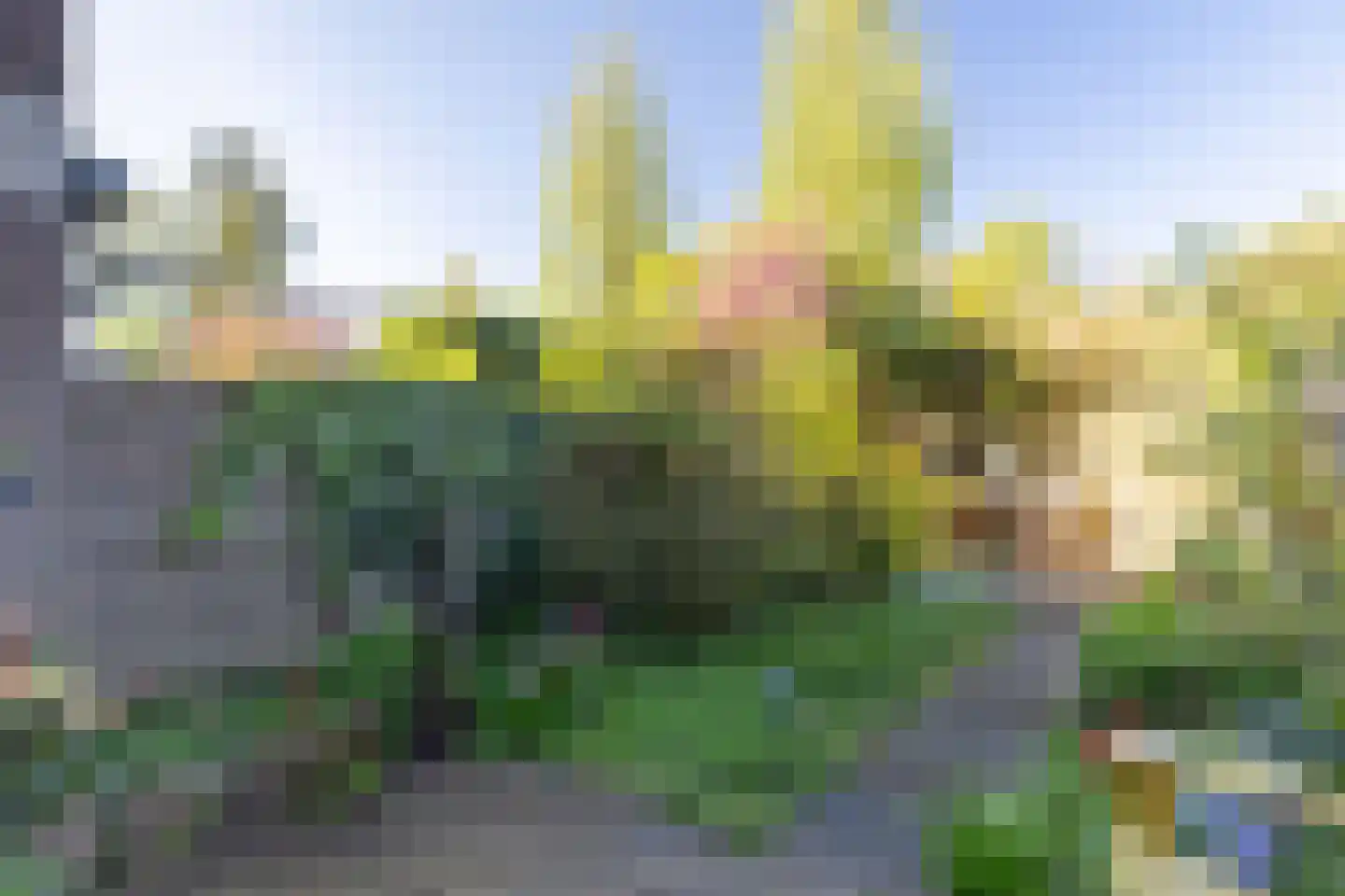 Rinnewaard 23 Alkmaar thumbnail 35