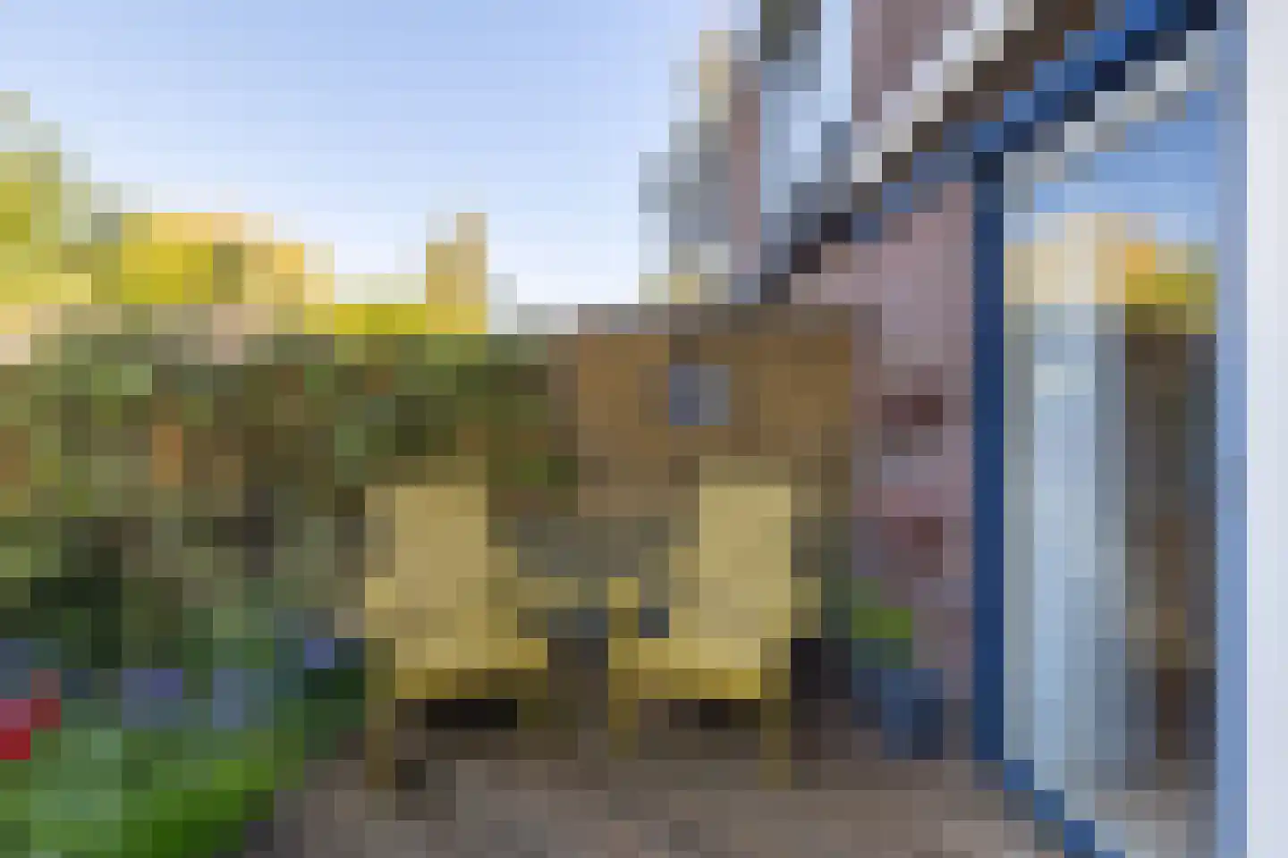 Rinnewaard 23 Alkmaar thumbnail 39