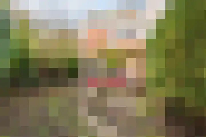 Rinnewaard 47 Alkmaar thumbnail 22