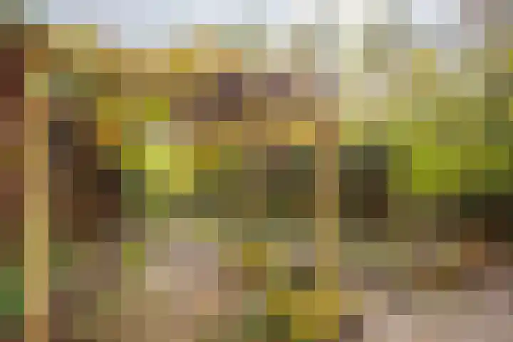 Rinnewaard 47 Alkmaar thumbnail 24