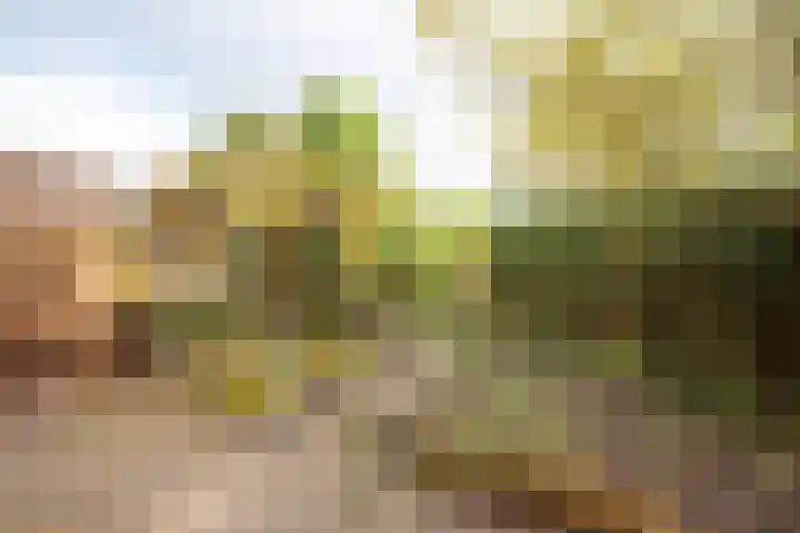 Rinnewaard 47 Alkmaar thumbnail 25