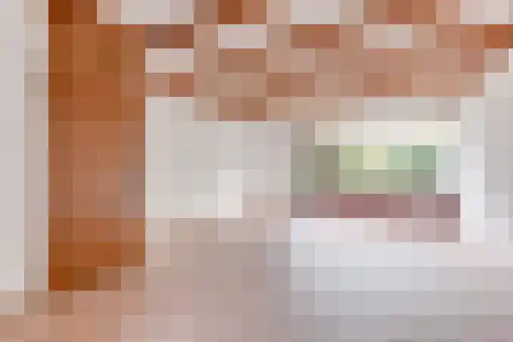 Rinnewaard 47 Alkmaar thumbnail 5