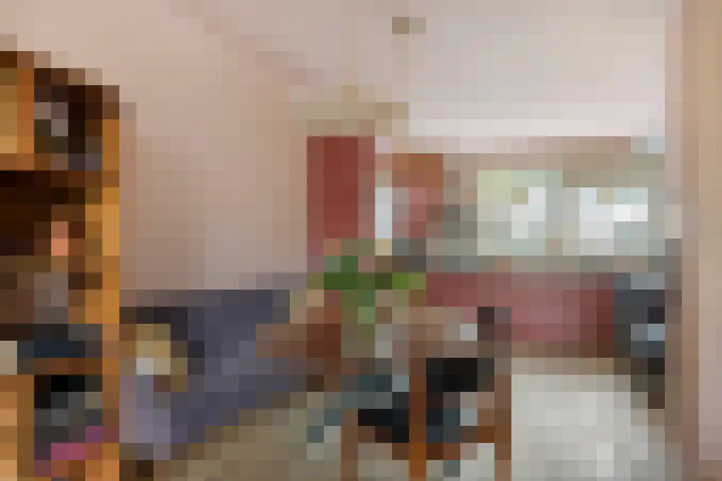 Rinnewaard 52 Alkmaar thumbnail 17