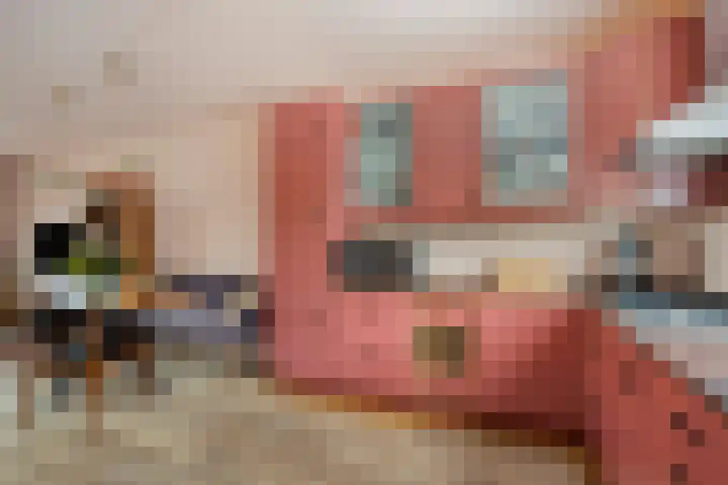 Rinnewaard 52 Alkmaar thumbnail 21