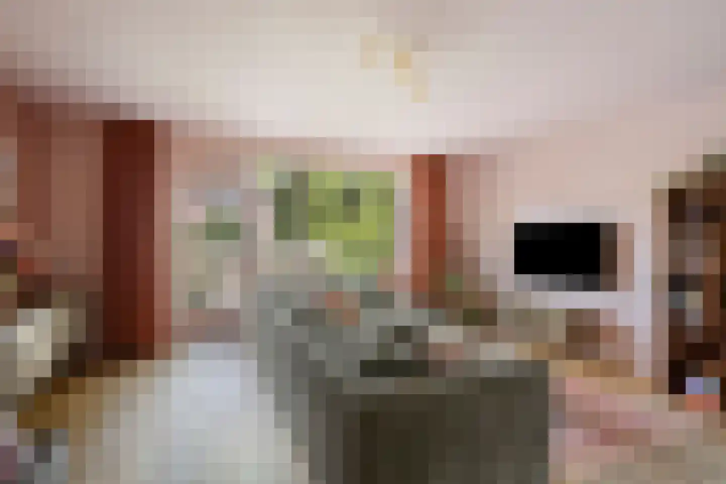 Rinnewaard 52 Alkmaar thumbnail 24