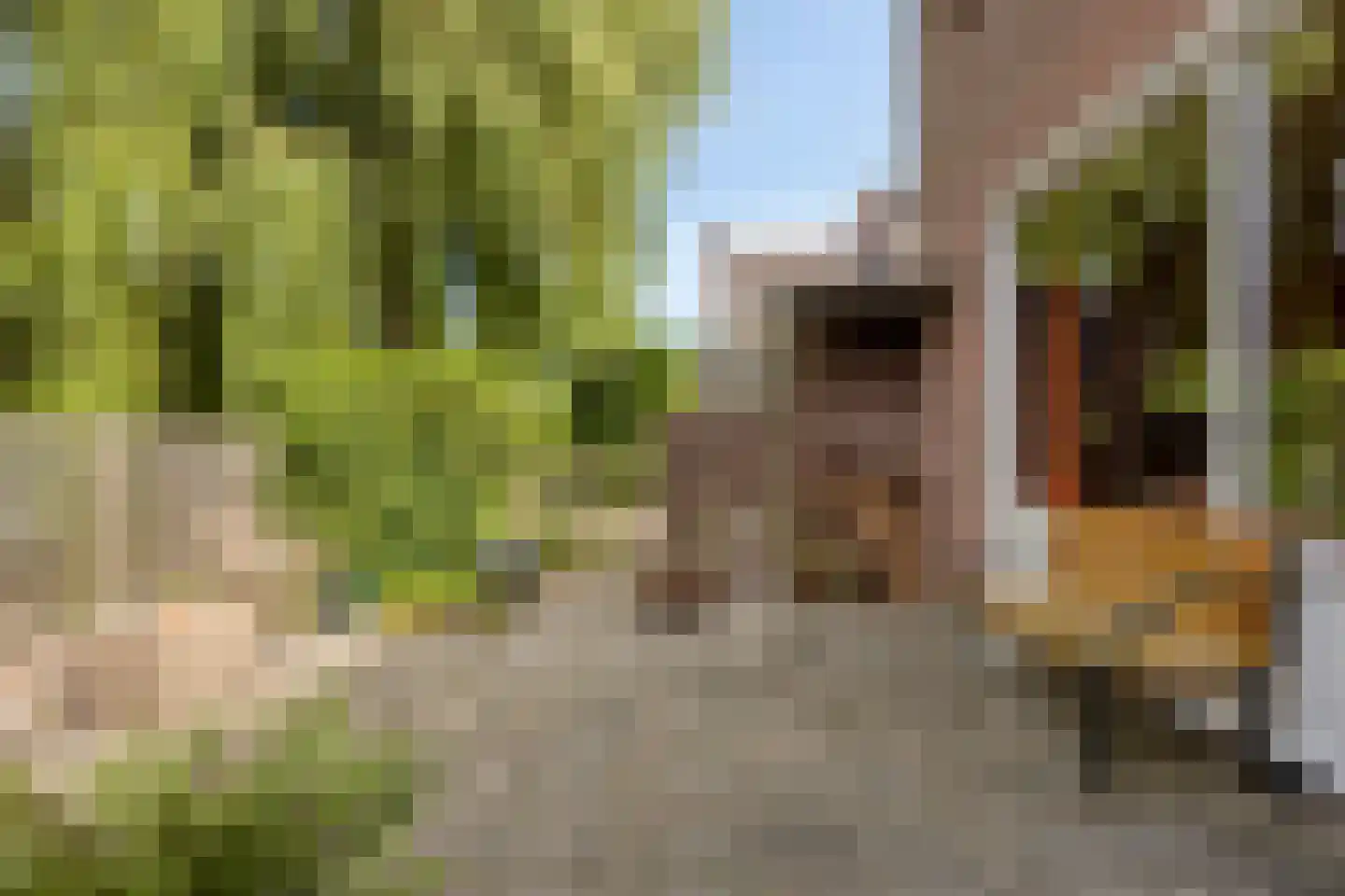 Rinnewaard 52 Alkmaar thumbnail 27