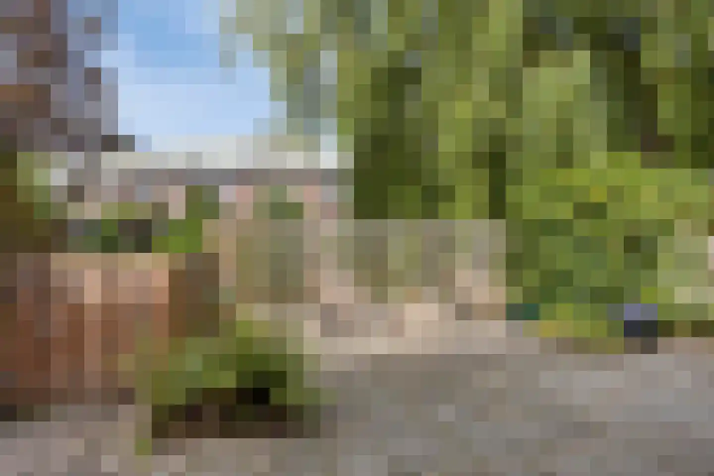 Rinnewaard 52 Alkmaar thumbnail 29