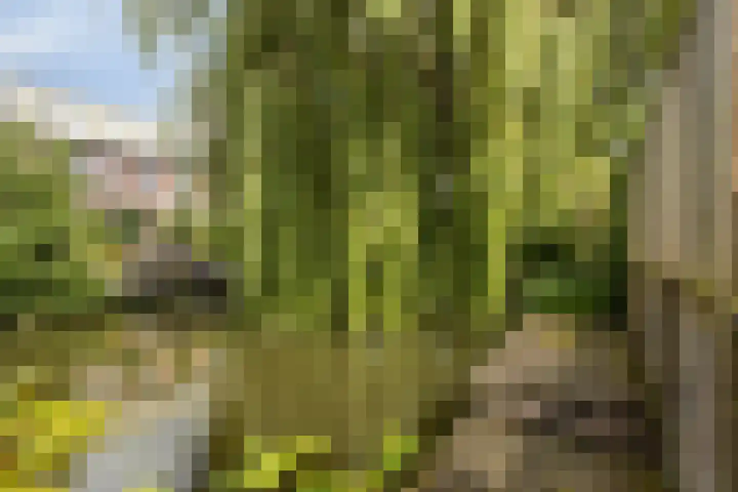 Rinnewaard 52 Alkmaar thumbnail 30