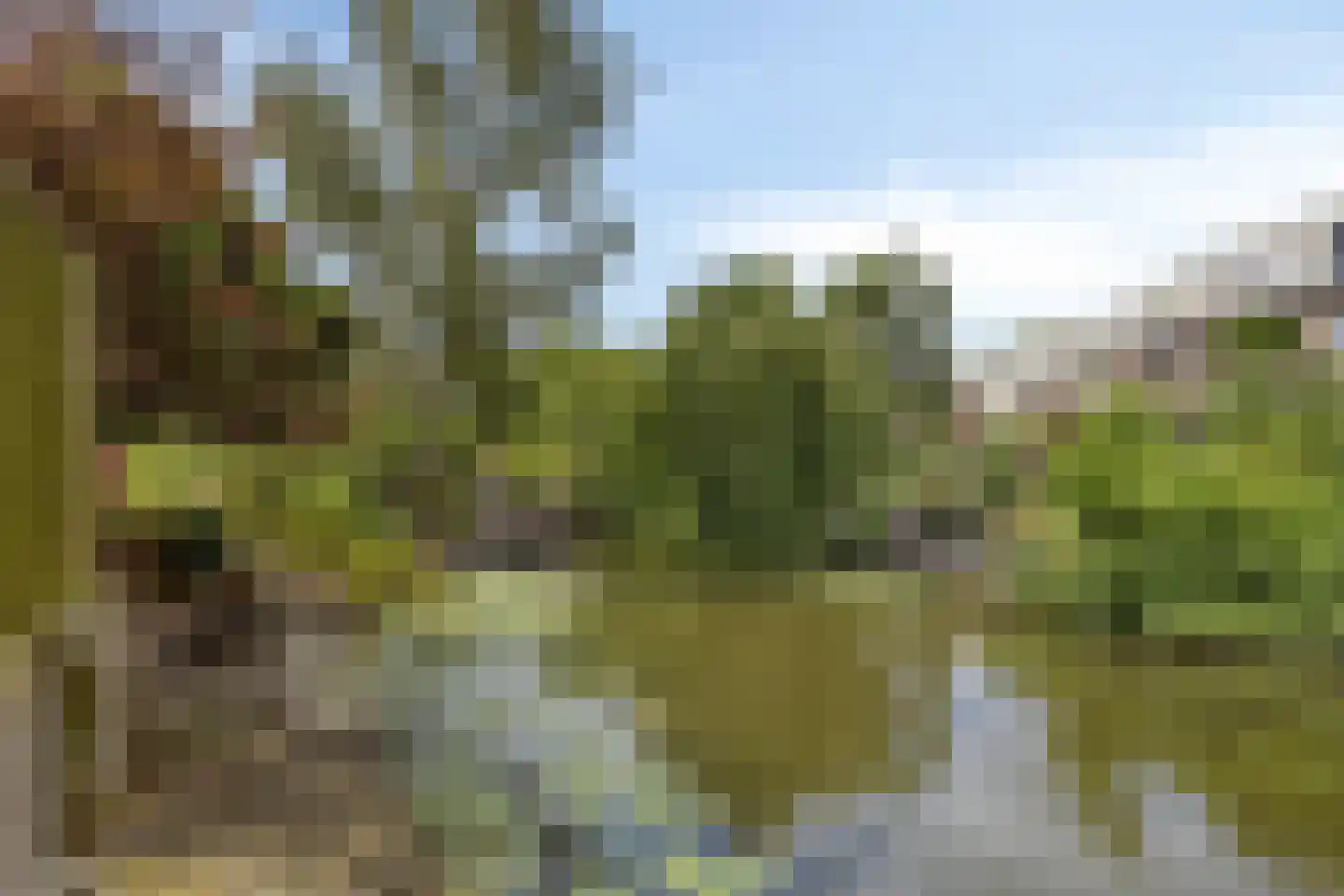 Rinnewaard 52 Alkmaar thumbnail 31