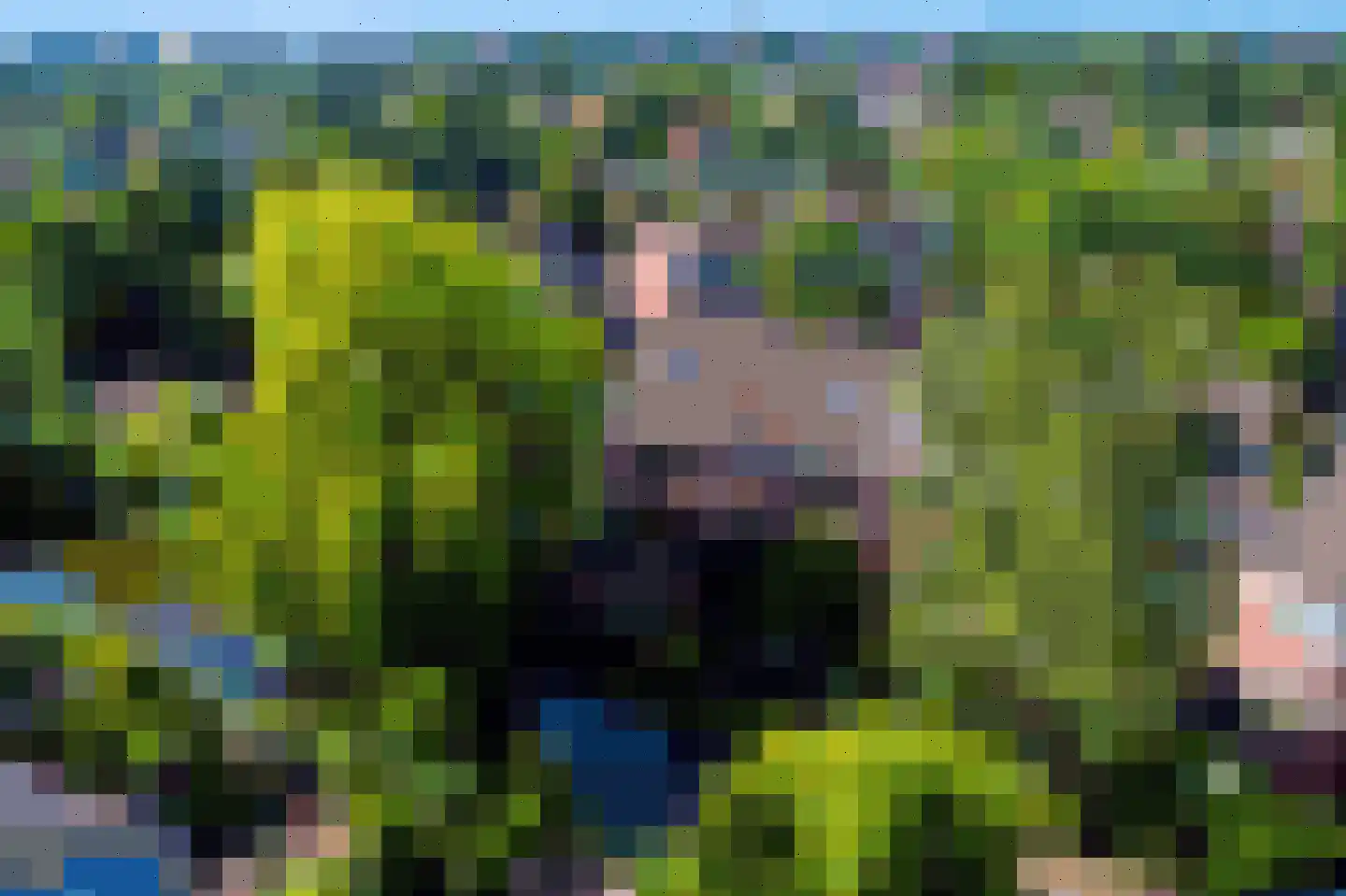 Rinnewaard 52 Alkmaar thumbnail 32