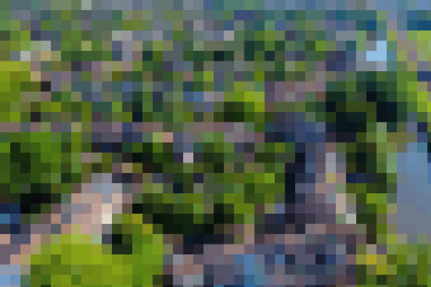 Rinnewaard 52 Alkmaar thumbnail 4