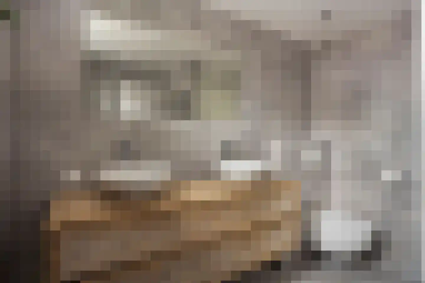 Rinnewaard 52 Alkmaar thumbnail 40