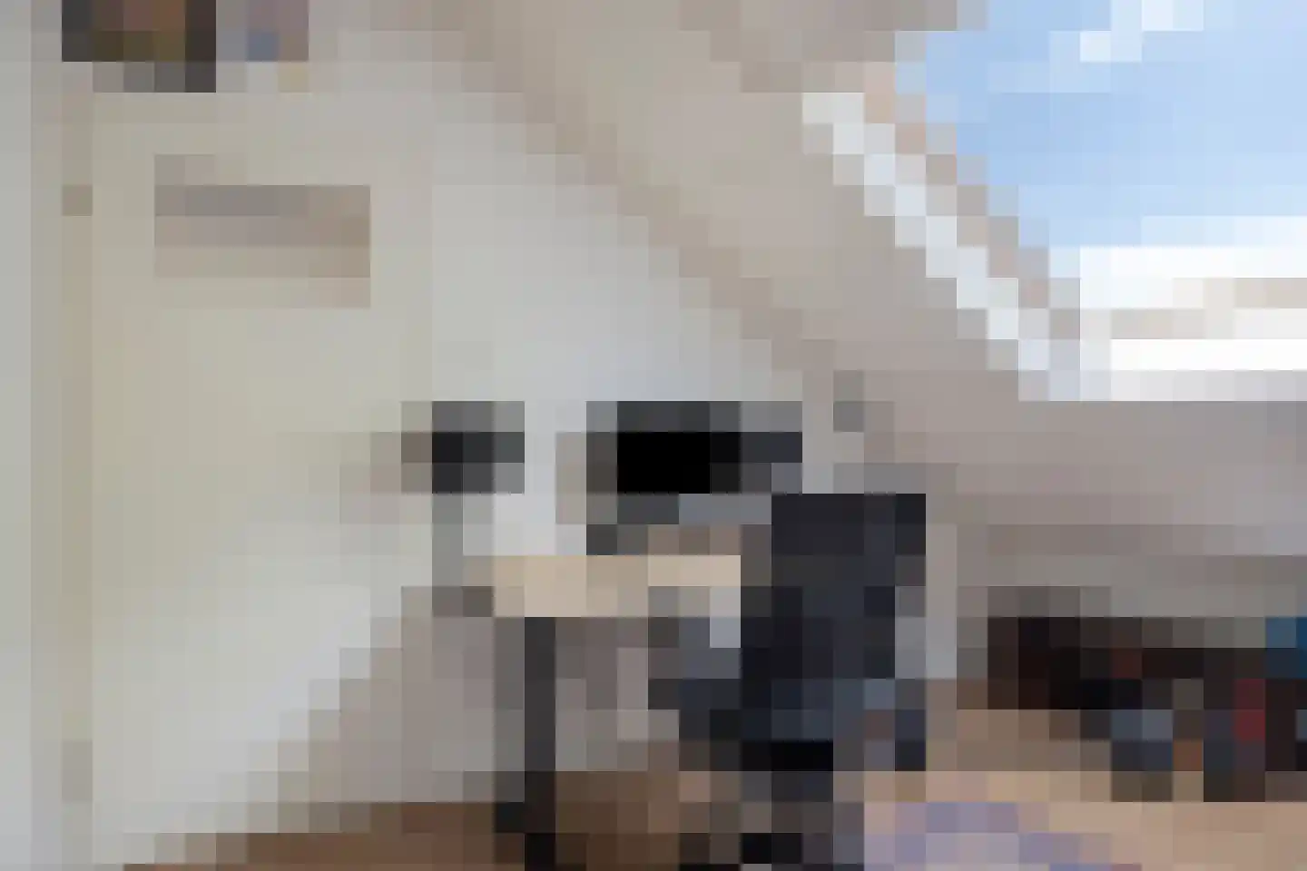 Rinnewaard 52 Alkmaar thumbnail 49