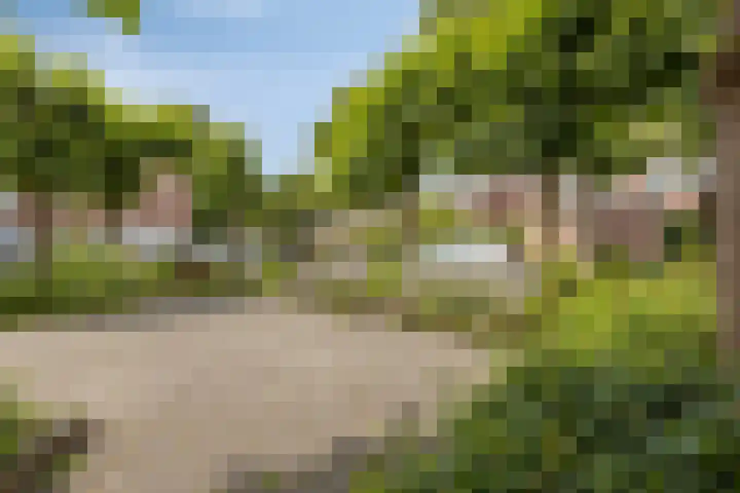 Rinnewaard 52 Alkmaar thumbnail 54