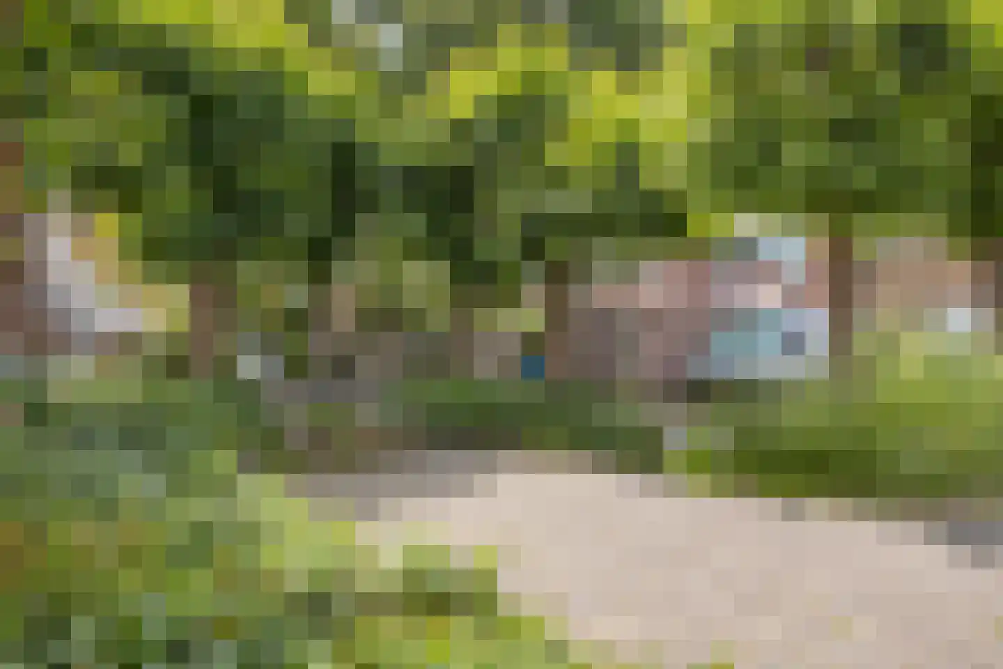 Rinnewaard 52 Alkmaar thumbnail 55
