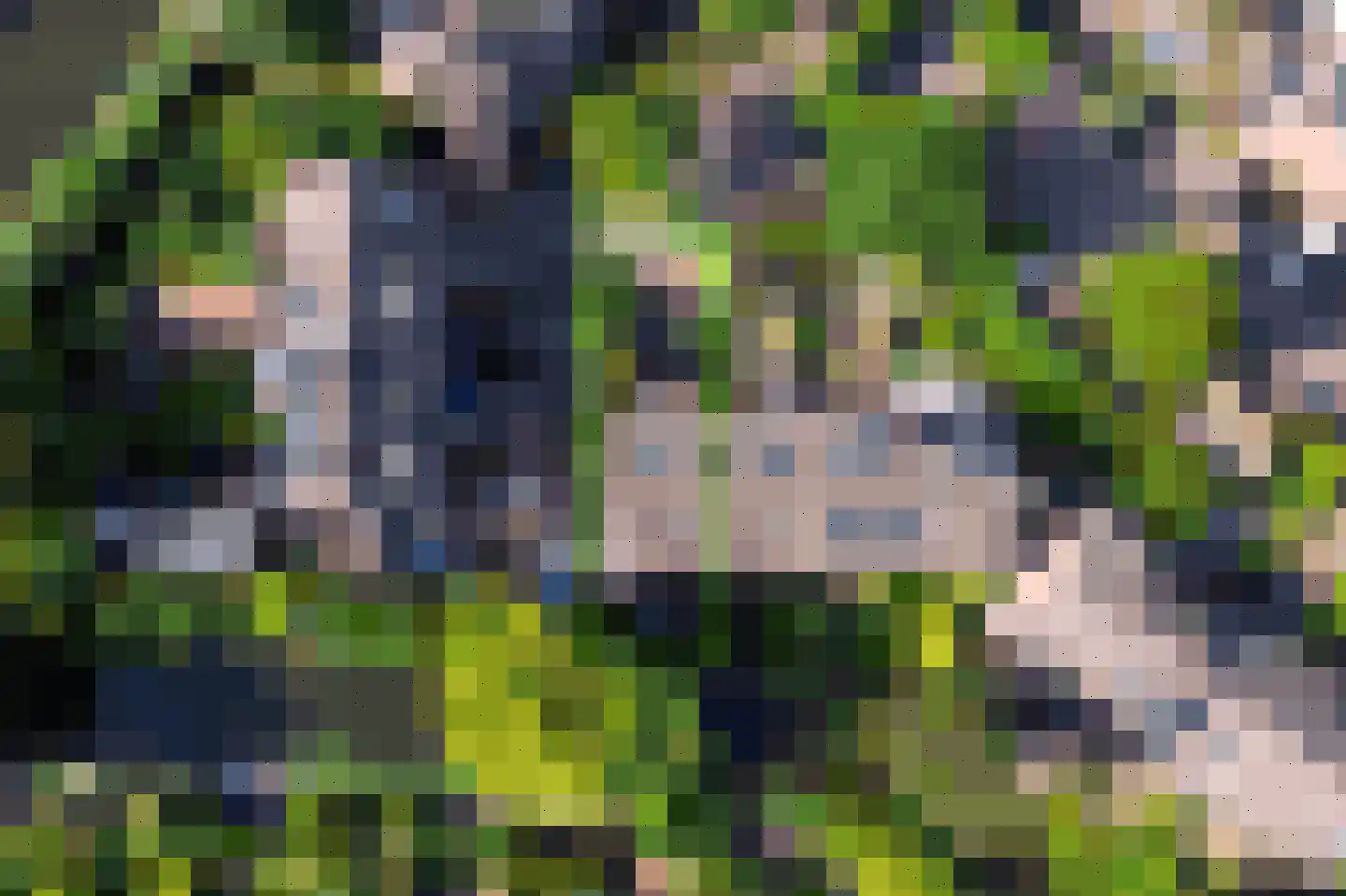 Rinnewaard 52 Alkmaar thumbnail 57
