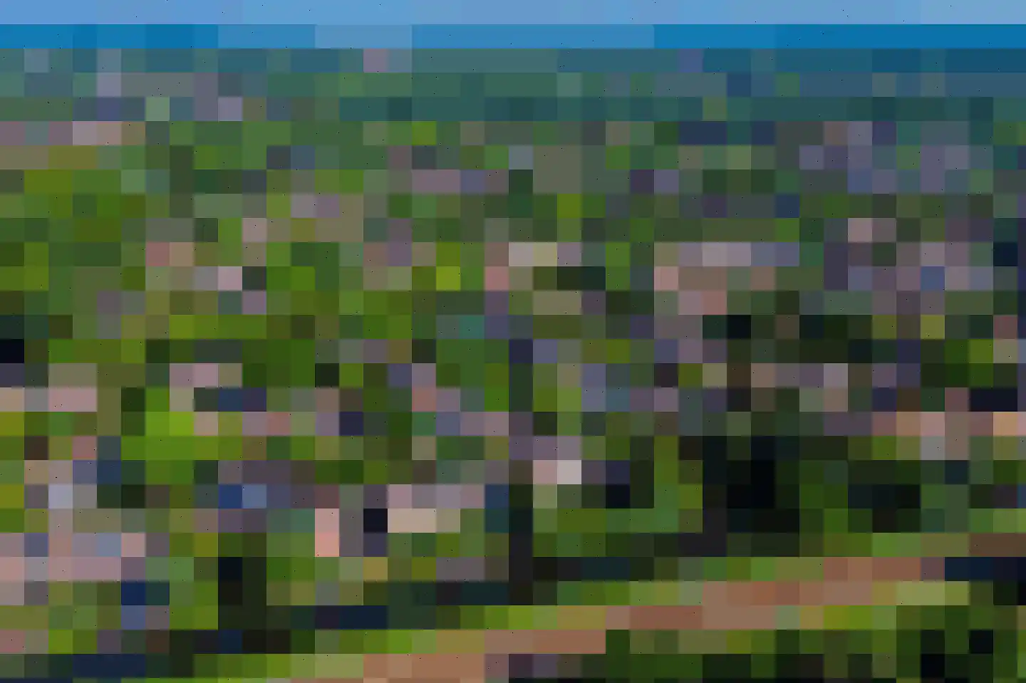 Rinnewaard 52 Alkmaar thumbnail 58