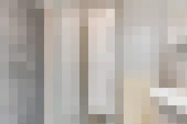 Rinnewaard 58 Alkmaar thumbnail 18