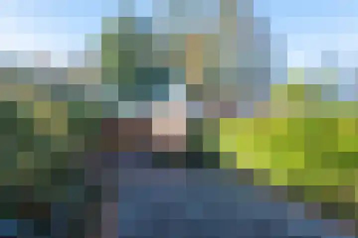 Rinnewaard 58 Alkmaar thumbnail 27