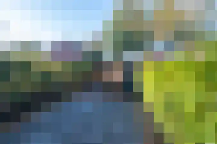 Rinnewaard 58 Alkmaar thumbnail 28
