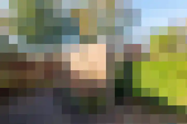Rinnewaard 58 Alkmaar thumbnail 29