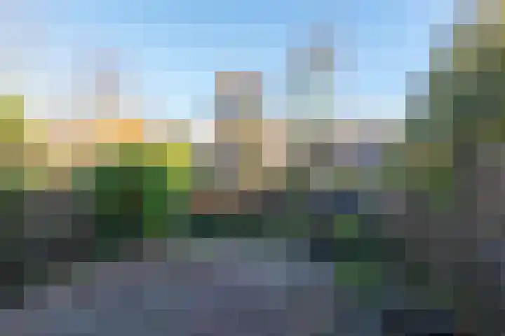 Rinnewaard 58 Alkmaar thumbnail 31