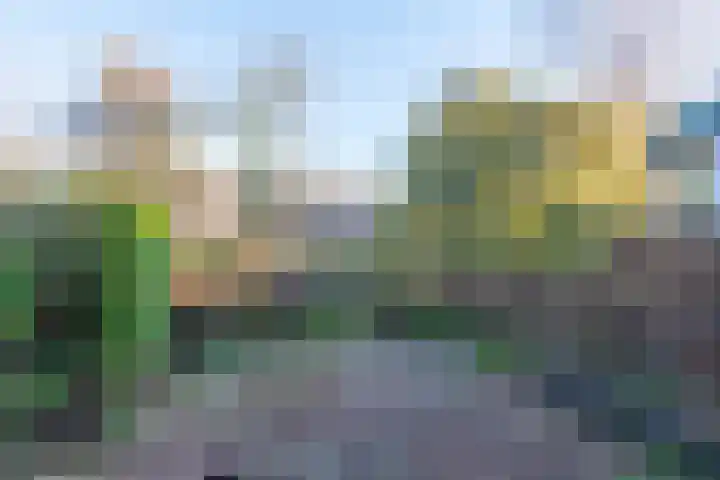 Rinnewaard 58 Alkmaar thumbnail 32